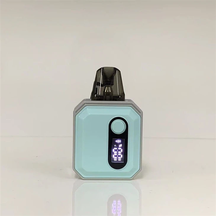 100 % alkuperäinen 600 Puff Custom Vaporizer Pen Vape Pod