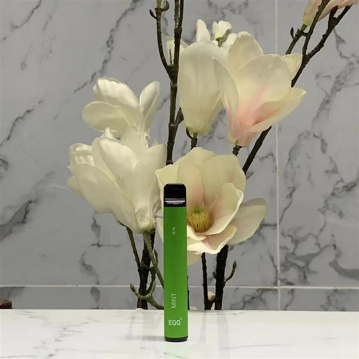 Disposable Vape With 600 Puffs