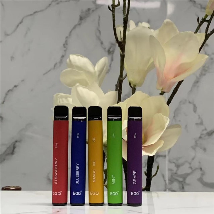 Hot 600 Puffs Disposable E Cig
