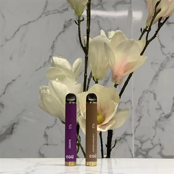 New Fashion Portable Fruit Flavor Disposable Vape