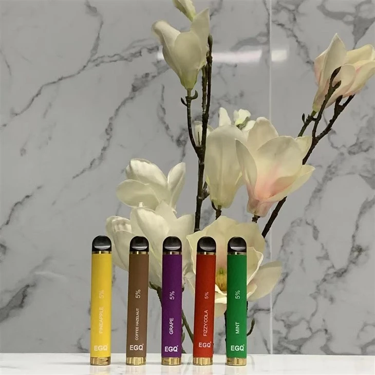 New Fashion Portable Fruit Flavor Disposable Vape